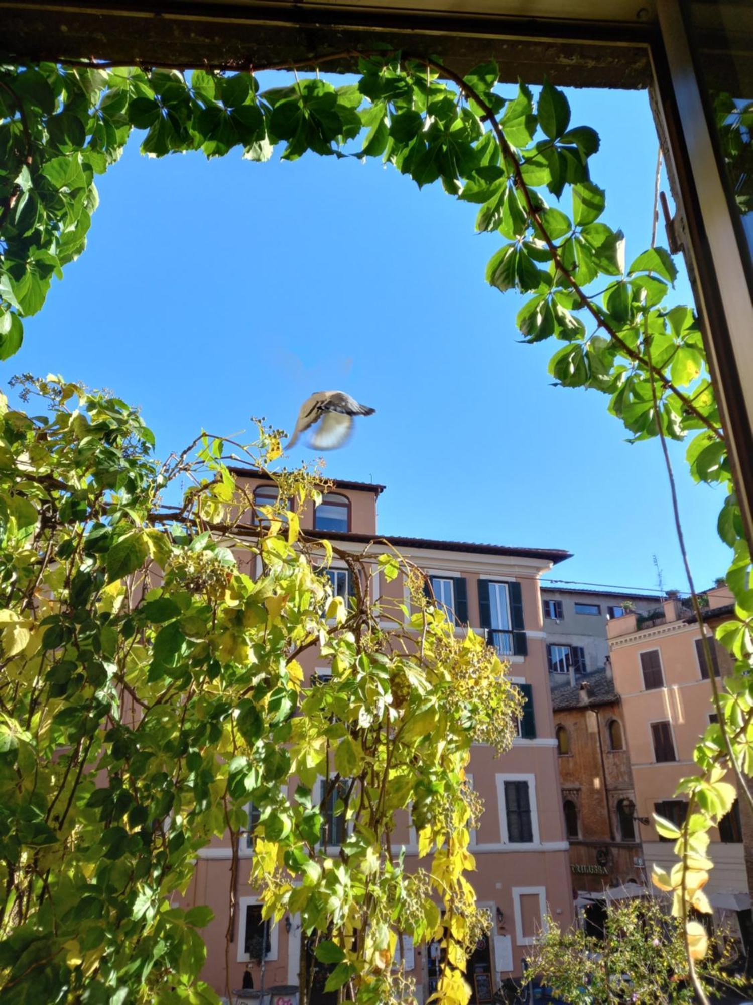 Central Apartment In Trastevere Rzym Pokój zdjęcie